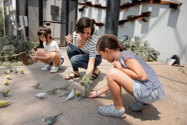 Fun Bird Day Activities for You and Your Feathered Friend